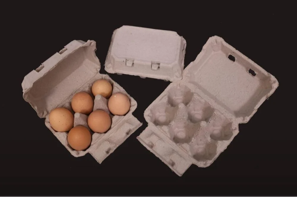 6 Cavity Locked Tray